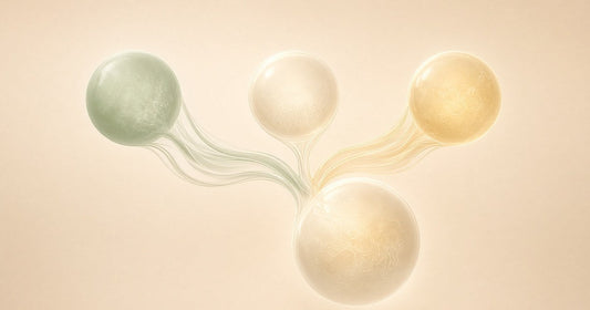 Abstract illustration of three soft spheres flowing into one larger sphere on a cream background